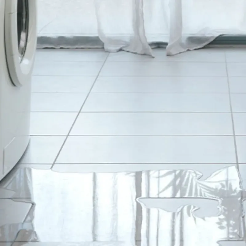 Appliance Leak Cleanup in Veradale, WA